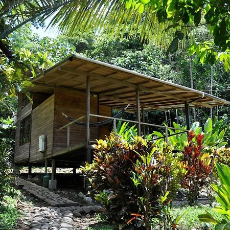Huella Verde Rainforest Lodge Canelos Bagian luar foto