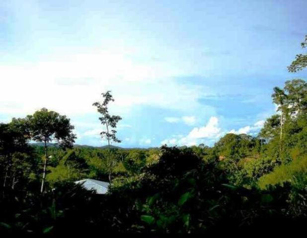 Huella Verde Rainforest Lodge Canelos Bagian luar foto