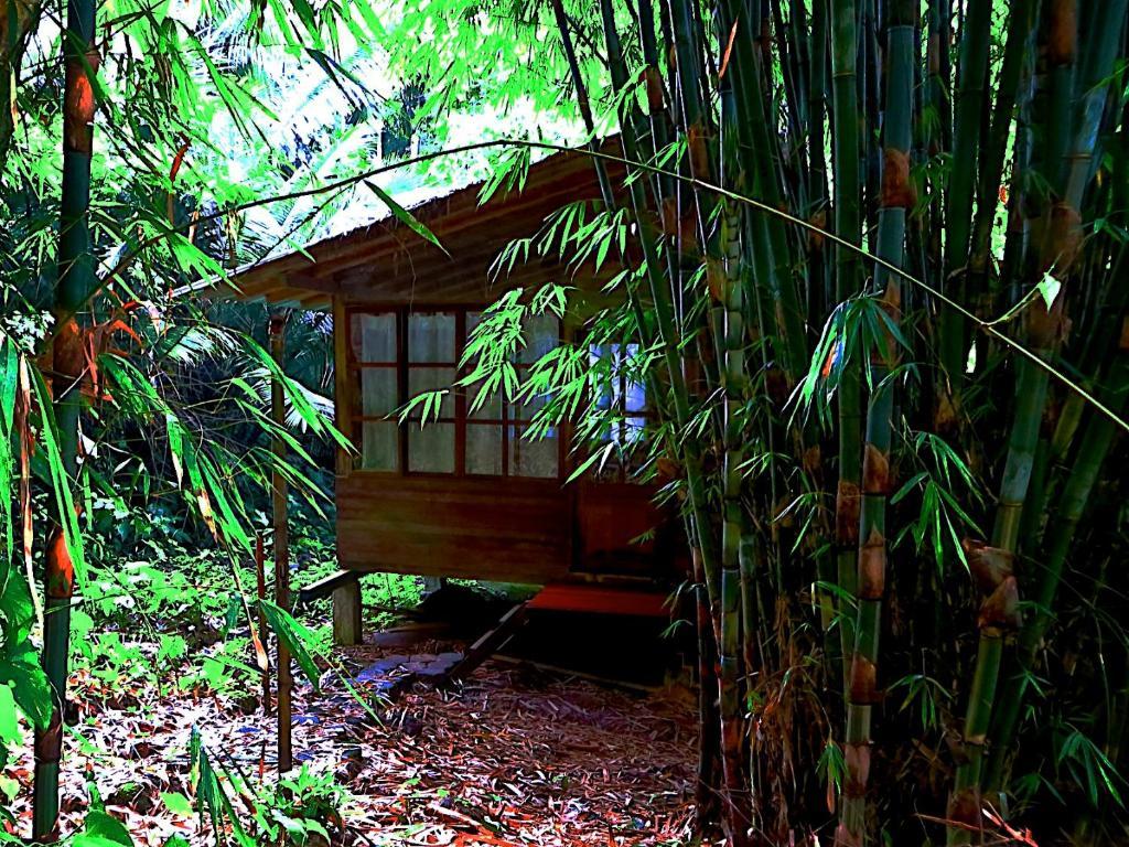 Huella Verde Rainforest Lodge Canelos Ruang foto