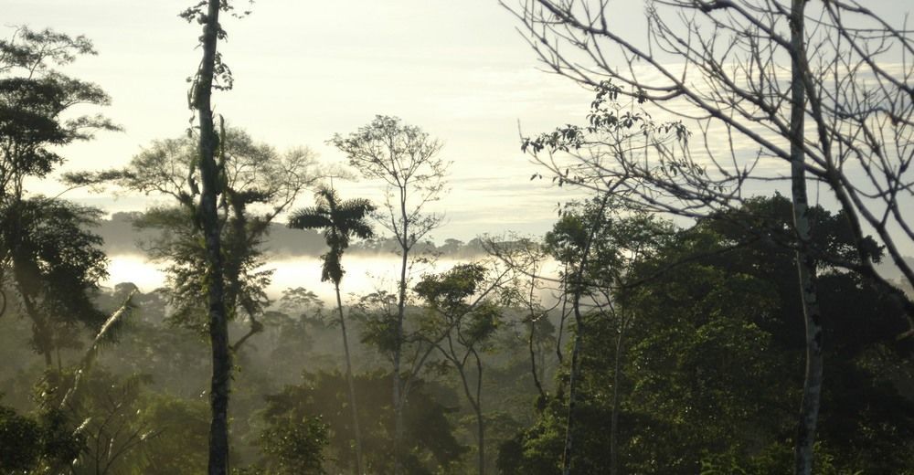 Huella Verde Rainforest Lodge Canelos Bagian luar foto