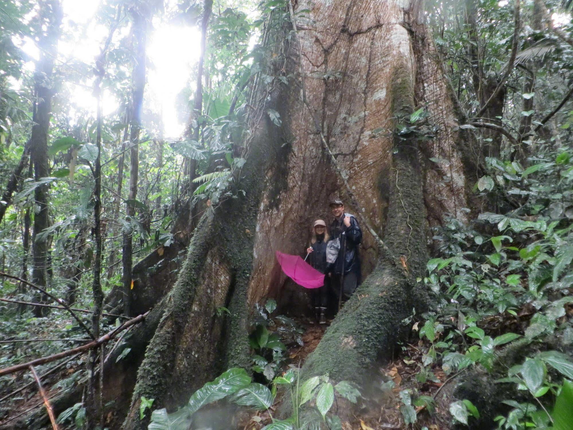 Huella Verde Rainforest Lodge Canelos Bagian luar foto