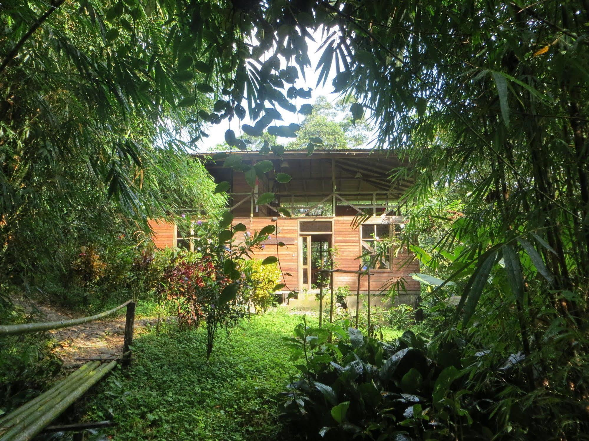 Huella Verde Rainforest Lodge Canelos Bagian luar foto