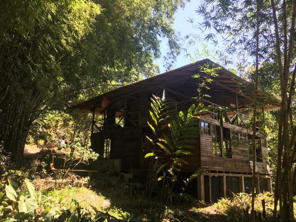 Huella Verde Rainforest Lodge Canelos Bagian luar foto